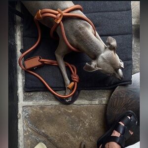 Boo Oh Ray Camel Dog Harness and poop bag holder